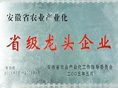 2005���ʡ����ͷ��ҵ