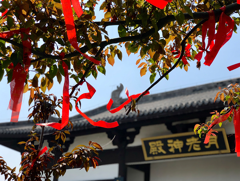 ������Ϸ���ٷ�(�й�)