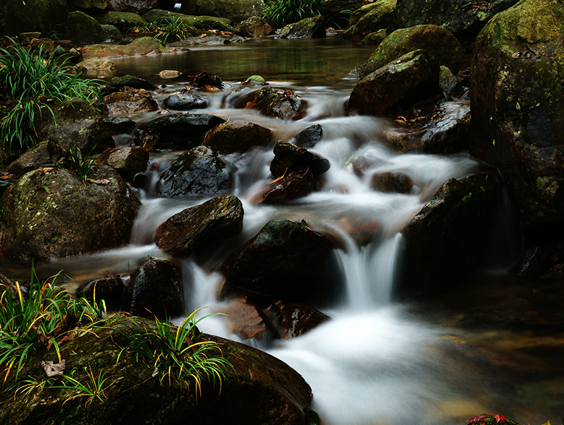 ������Ϸ���ٷ�(�й�)