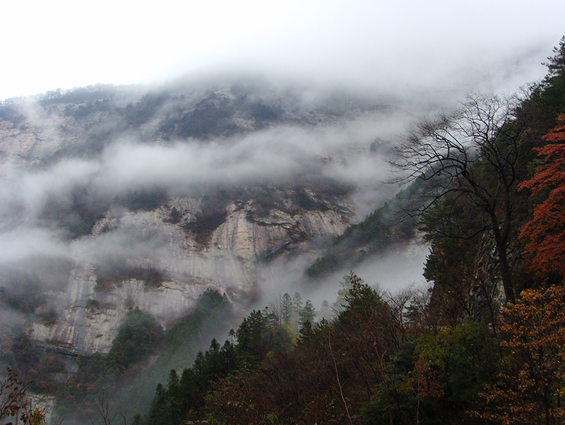 ������Ϸ���ٷ�(�й�)