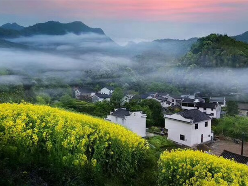 ������Ϸ���ٷ�(�й�)