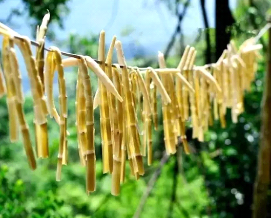 �Դ��������ɹ�����������ζ