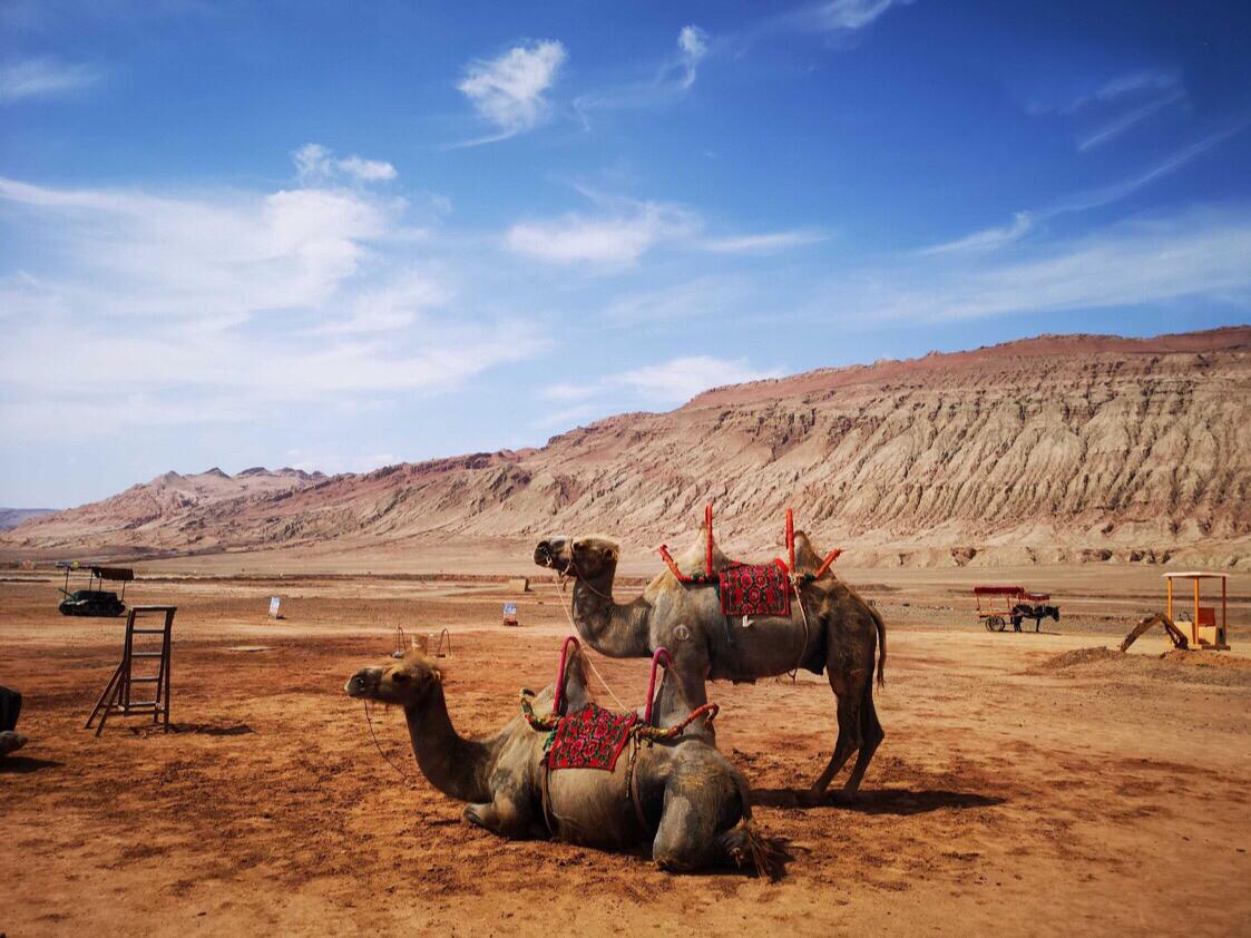 ������Ϸ���ٷ�(�й�)