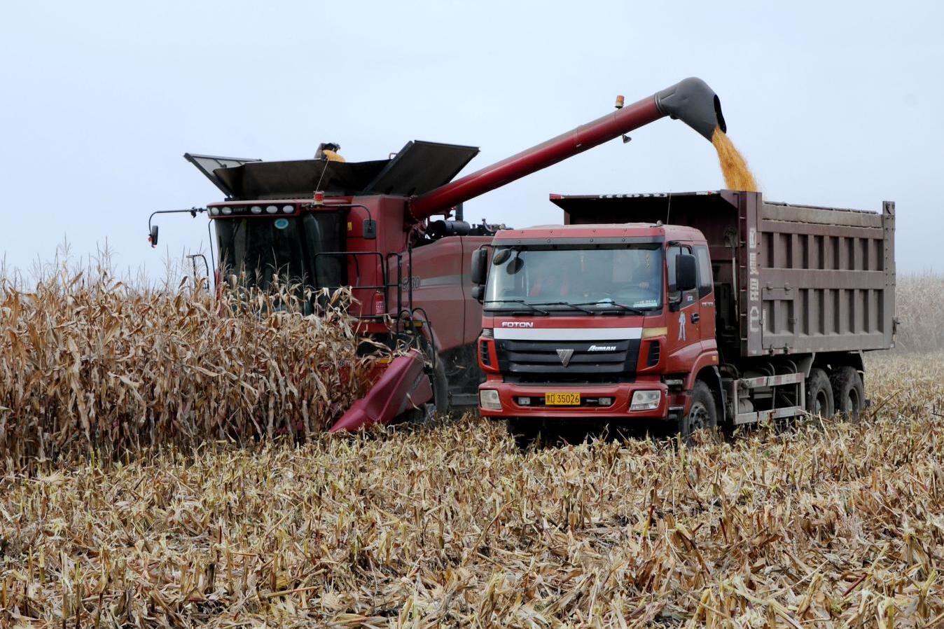 ������Ϸ���ٷ�(�й�)