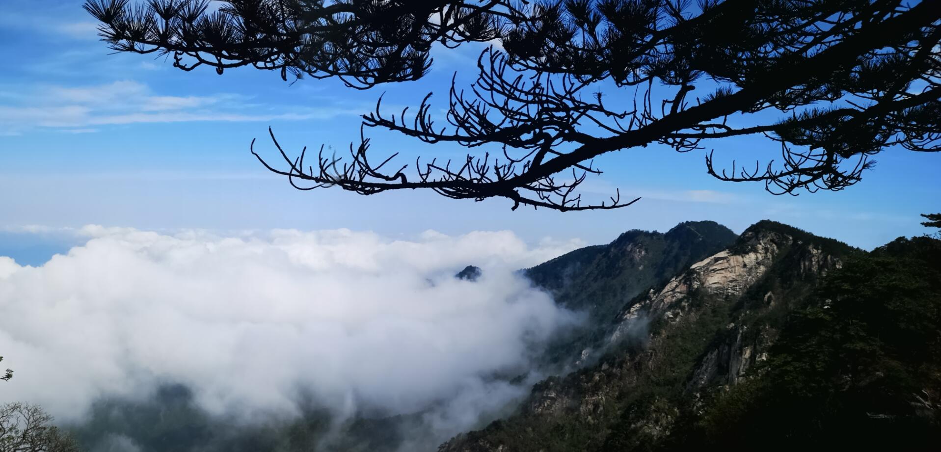 ������Ϸ���ٷ�(�й�)