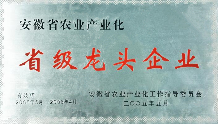 ������Ϸ���ٷ�(�й�)