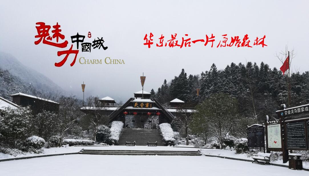 ������Ϸ���ٷ�(�й�)