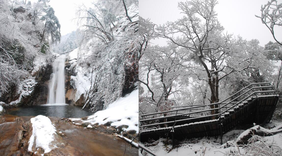 ������Ϸ���ٷ�(�й�)