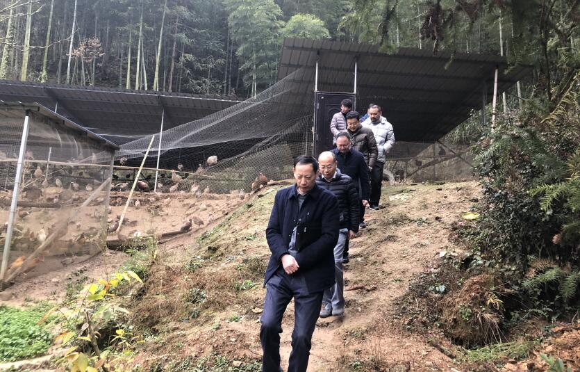 ������Ϸ���ٷ�(�й�)