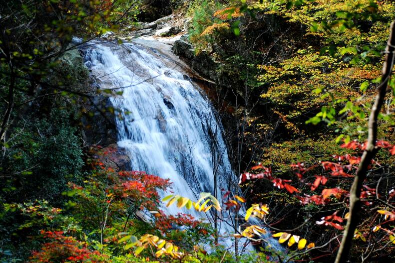 ������Ϸ���ٷ�(�й�)