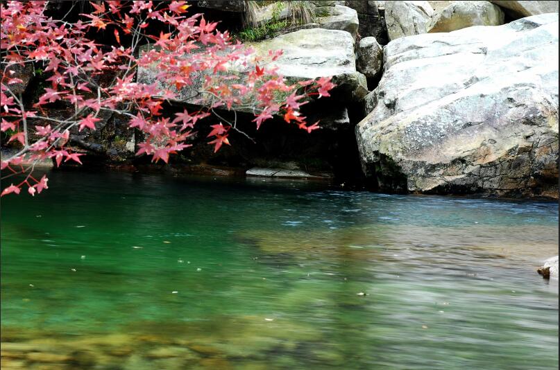 ������Ϸ���ٷ�(�й�)