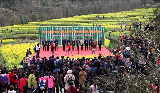 ������Ϸ���ٷ�(�й�)