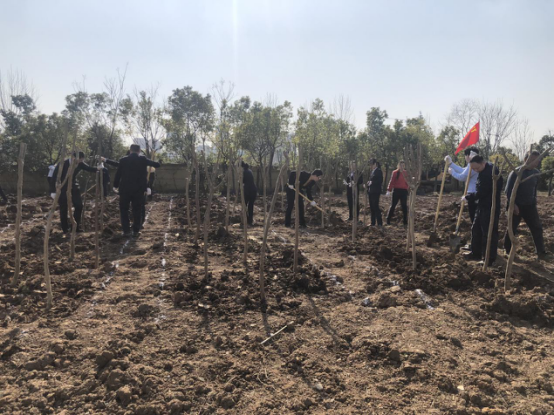 ������Ϸ���ٷ�(�й�)