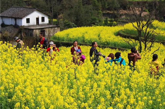 ������Ϸ���ٷ�(�й�)