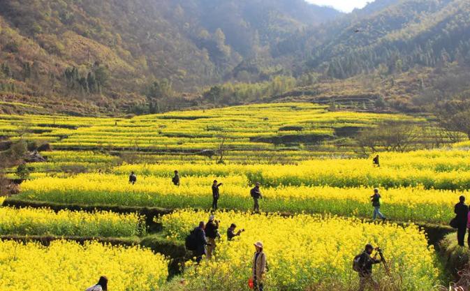 ������Ϸ���ٷ�(�й�)