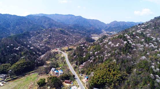 ������Ϸ���ٷ�(�й�)