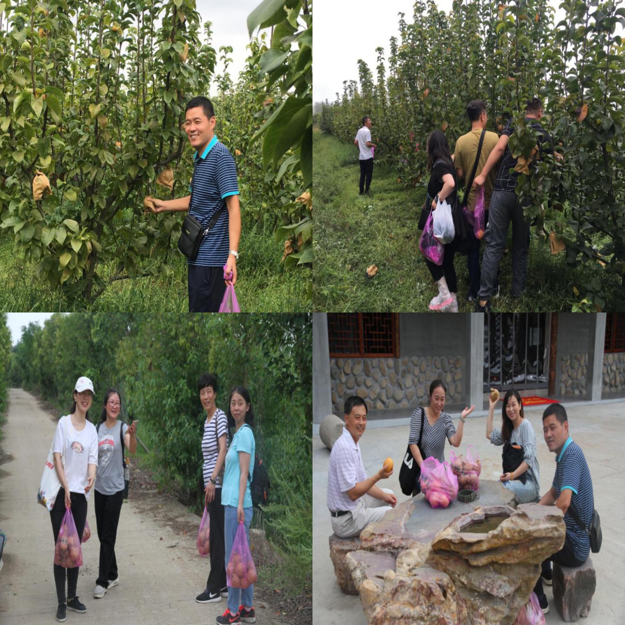 百亿游戏·官方(中国)