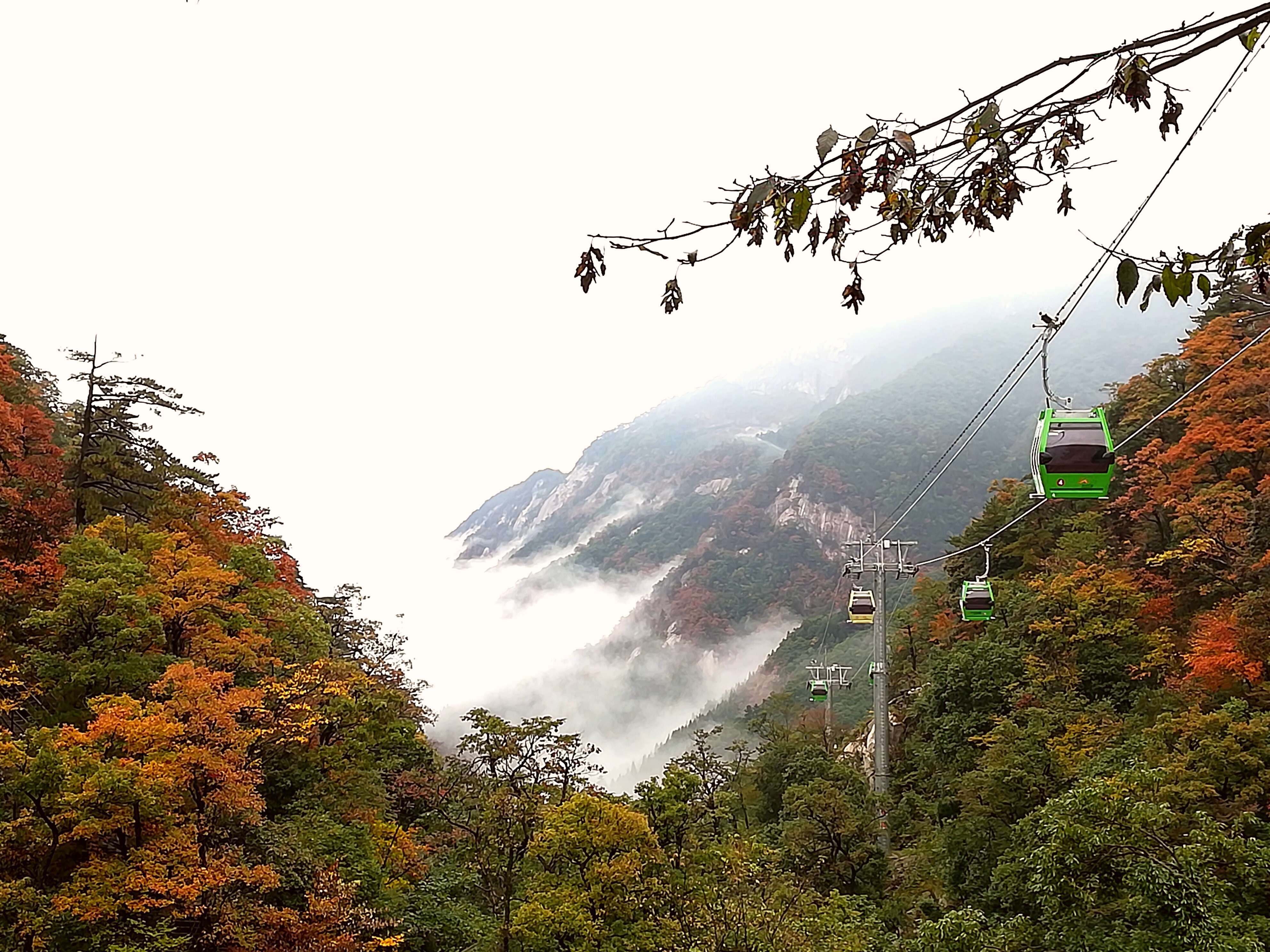 ������Ϸ���ٷ�(�й�)