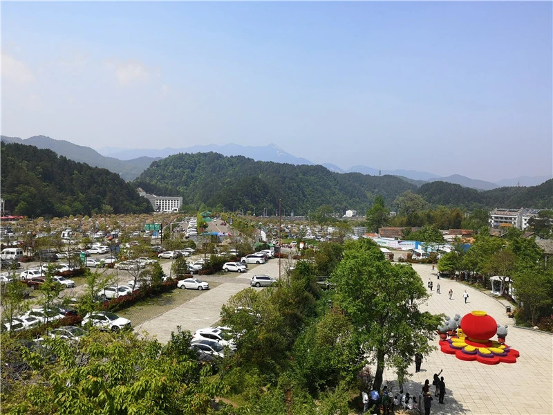 ������Ϸ���ٷ�(�й�)