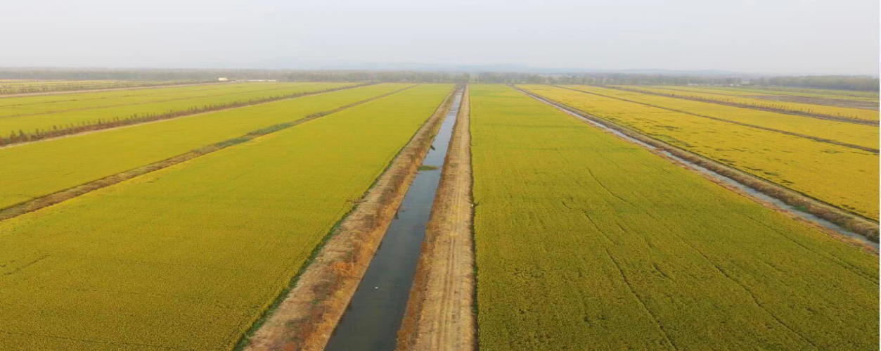 ������Ϸ���ٷ�(�й�)