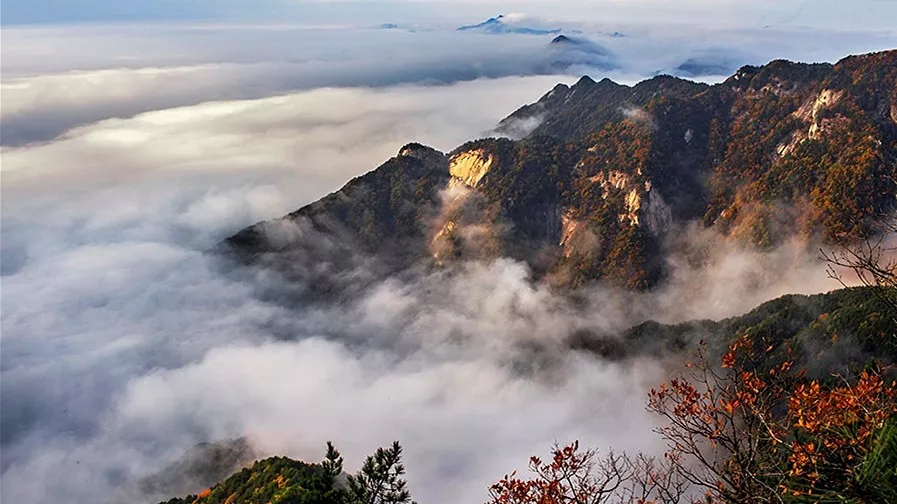 ������Ϸ���ٷ�(�й�)