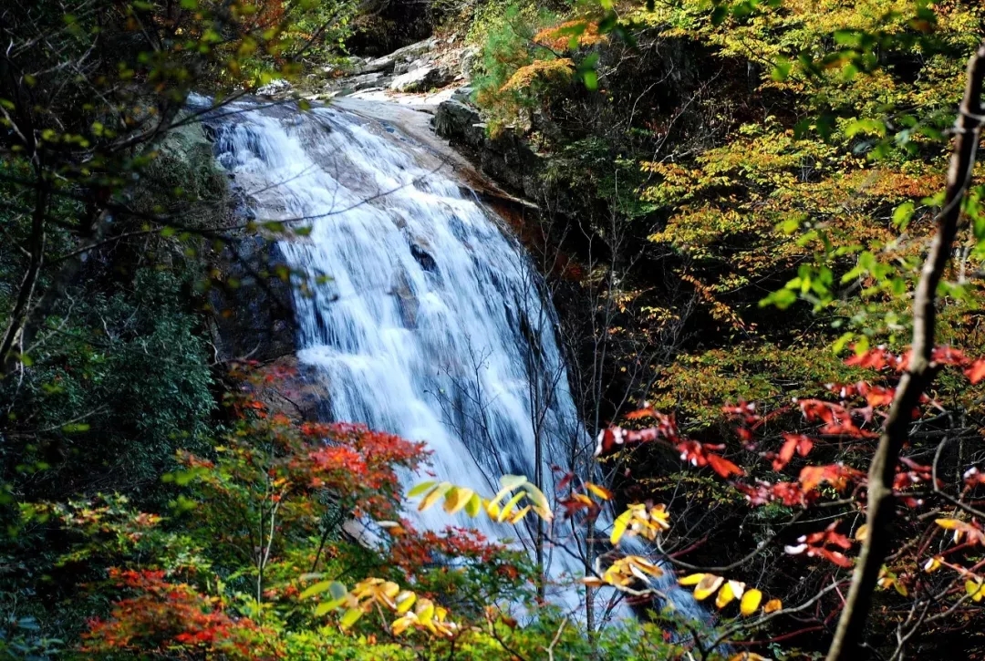 ������Ϸ���ٷ�(�й�)