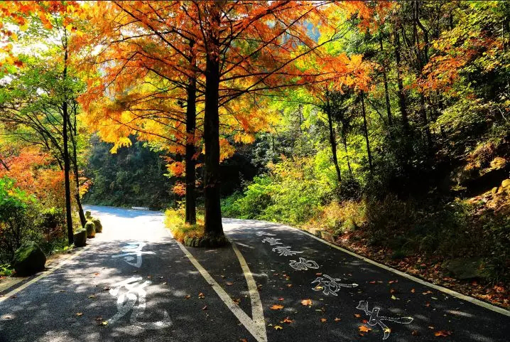 ������Ϸ���ٷ�(�й�)