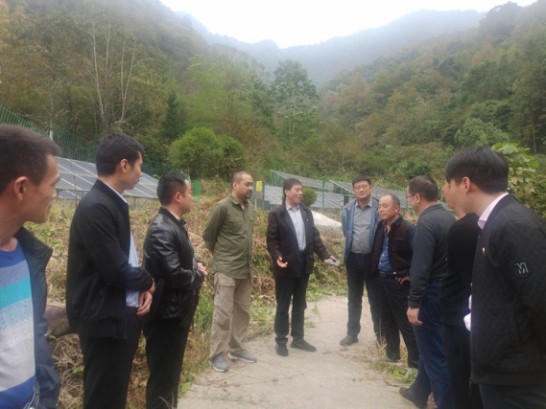 ������Ϸ���ٷ�(�й�)