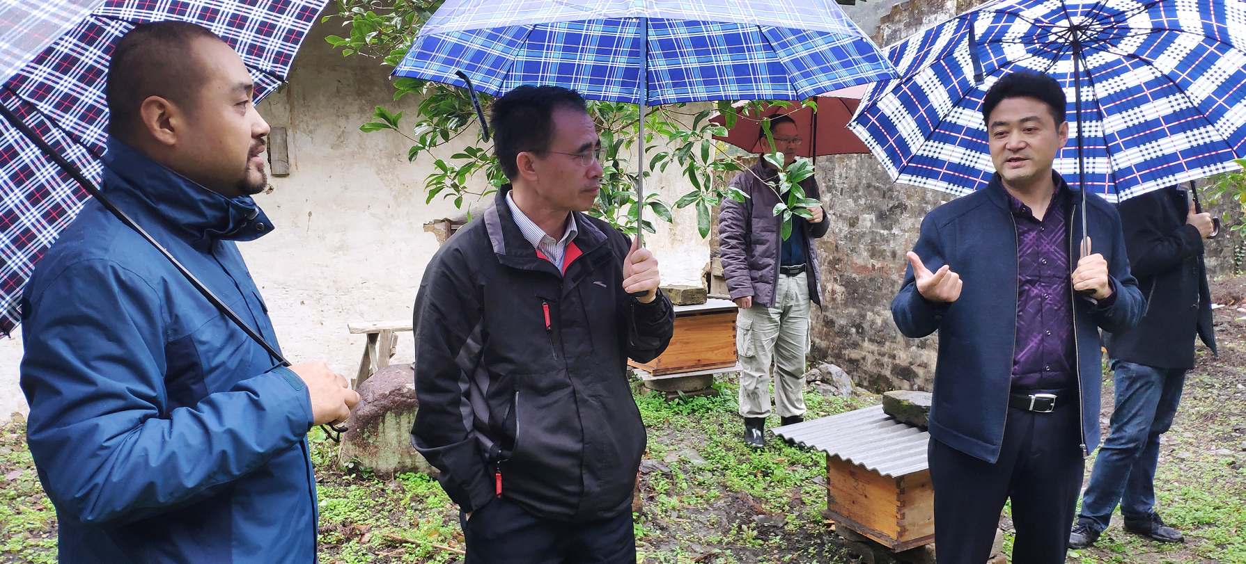 ������Ϸ���ٷ�(�й�)