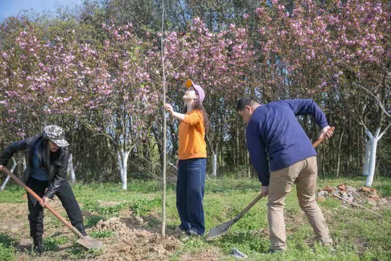 ������Ϸ���ٷ�(�й�)