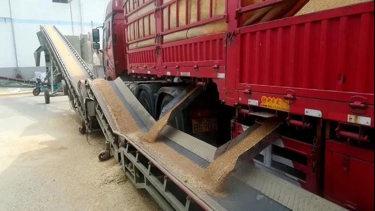 ������Ϸ���ٷ�(�й�)