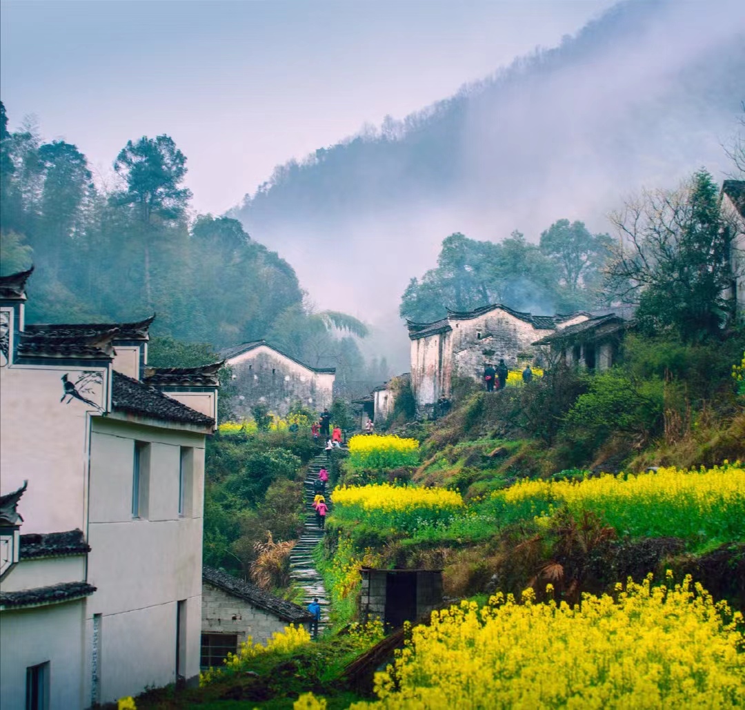 ������Ϸ���ٷ�(�й�)