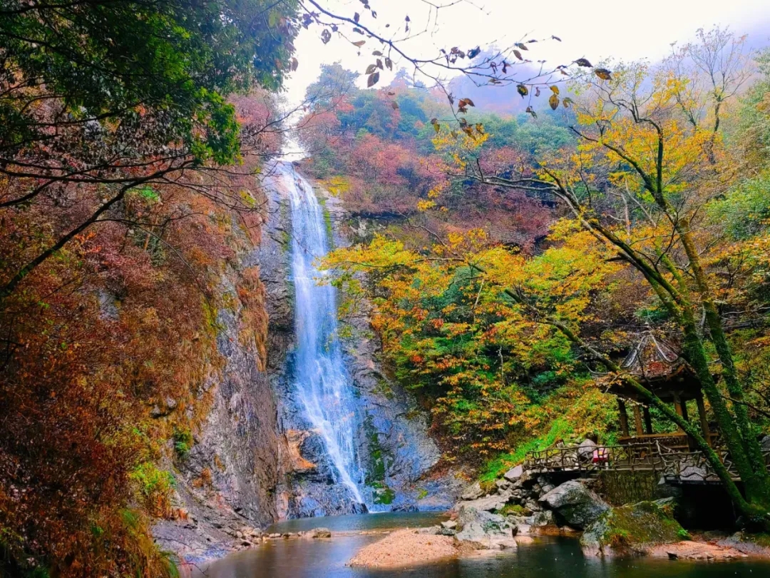 ������Ϸ���ٷ�(�й�)