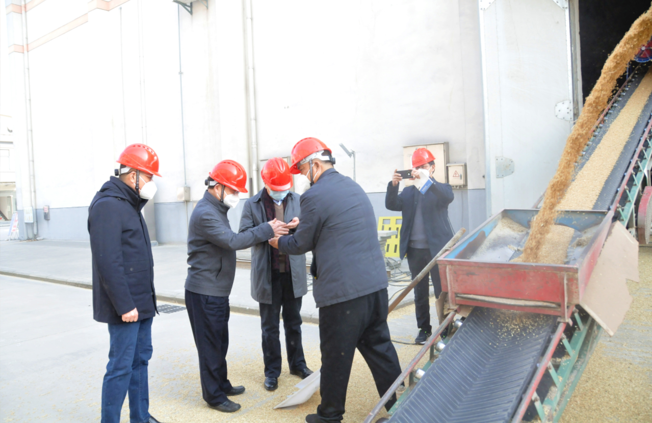 ������Ϸ���ٷ�(�й�)