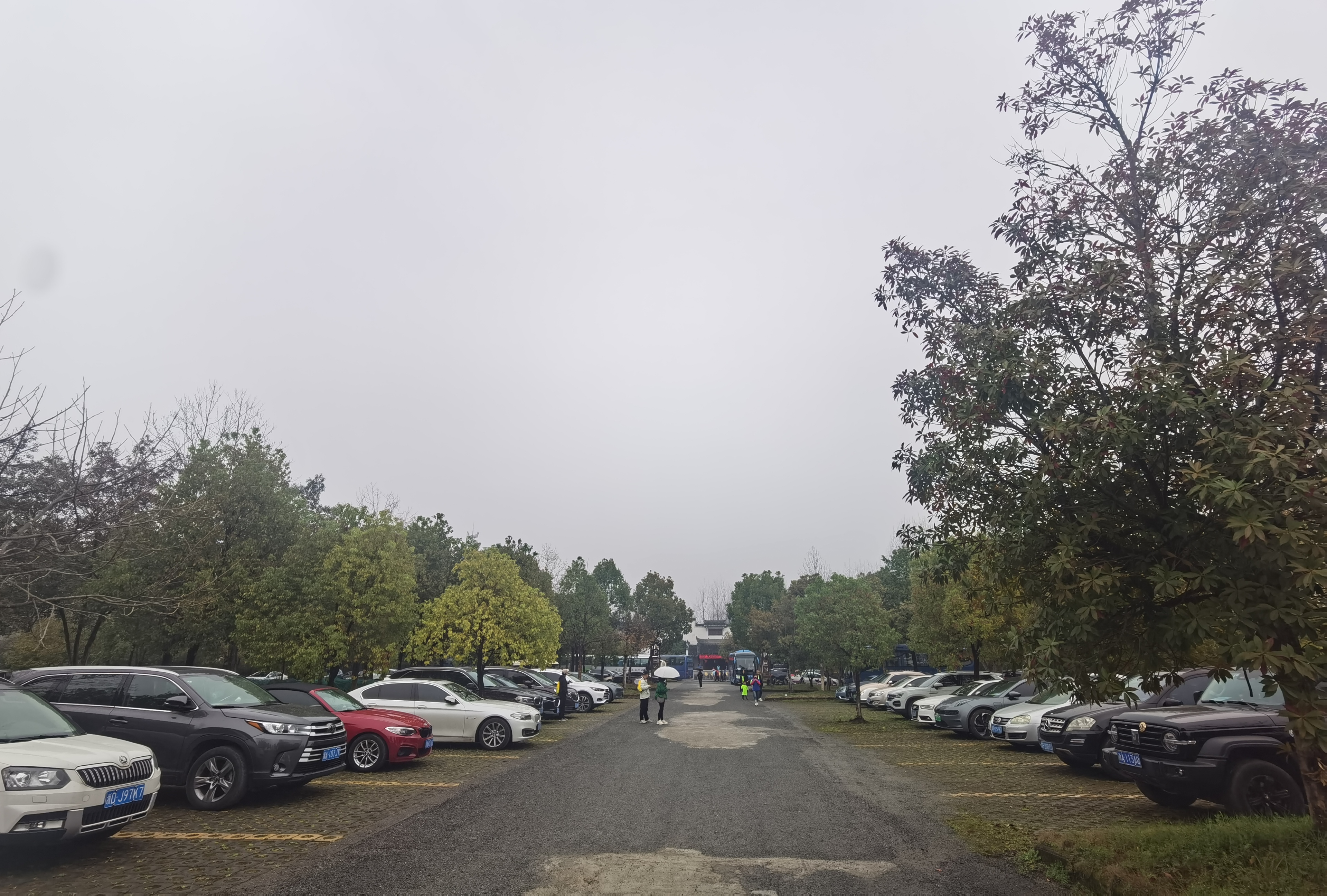 ������Ϸ���ٷ�(�й�)