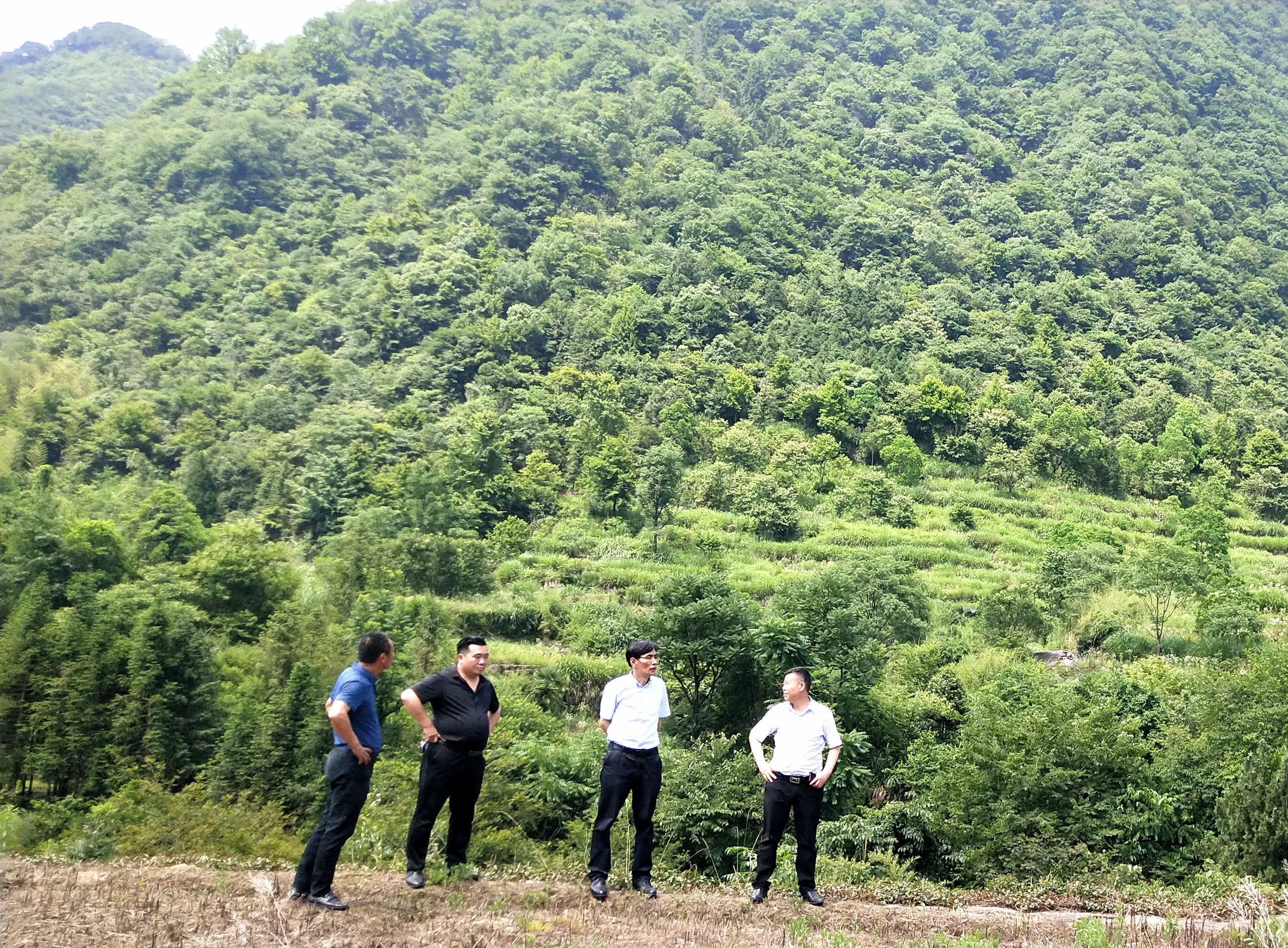 ������Ϸ���ٷ�(�й�)