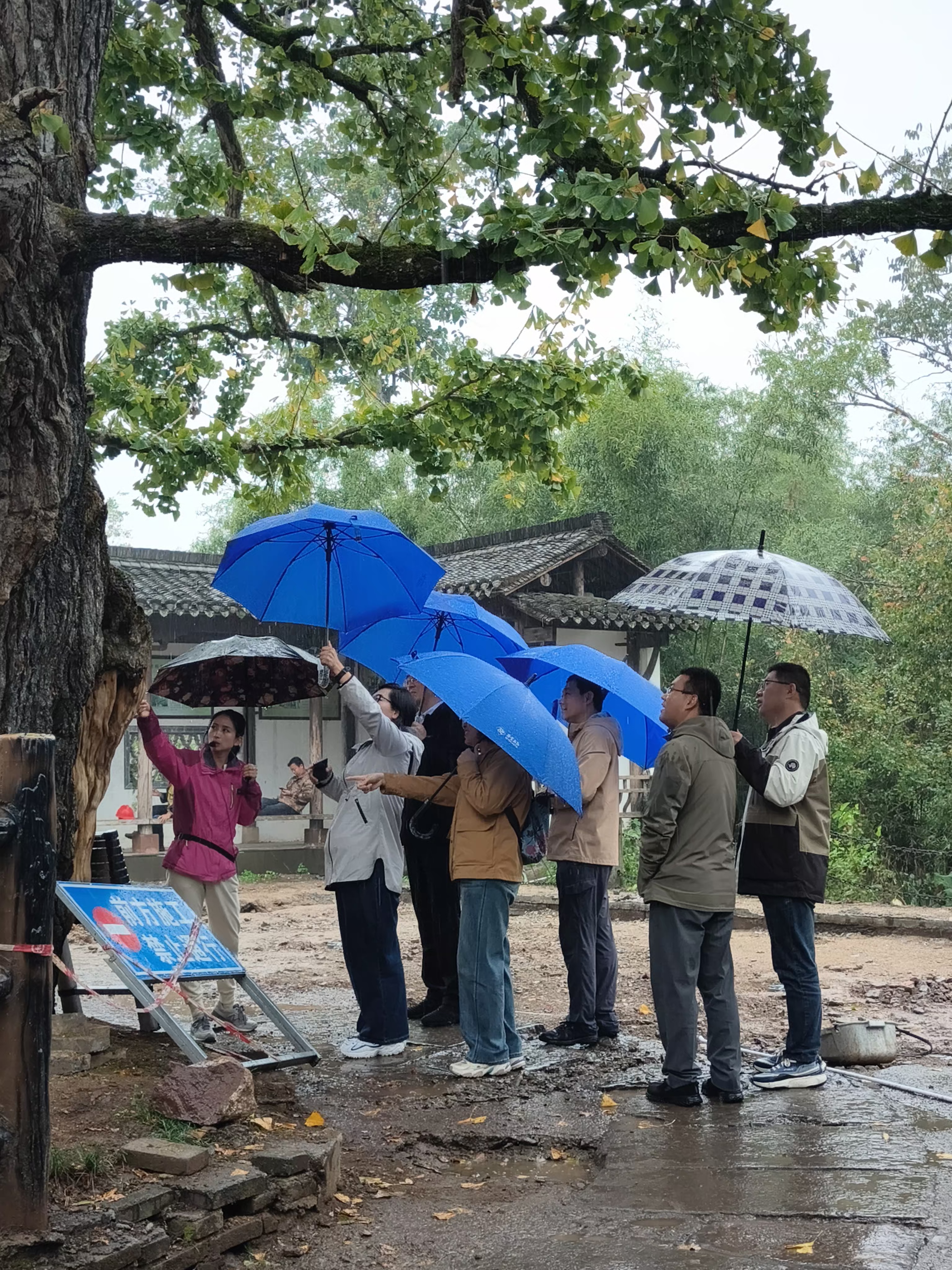 ������Ϸ���ٷ�(�й�)