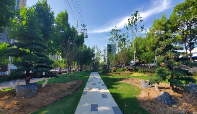 ������Ϸ���ٷ�(�й�)