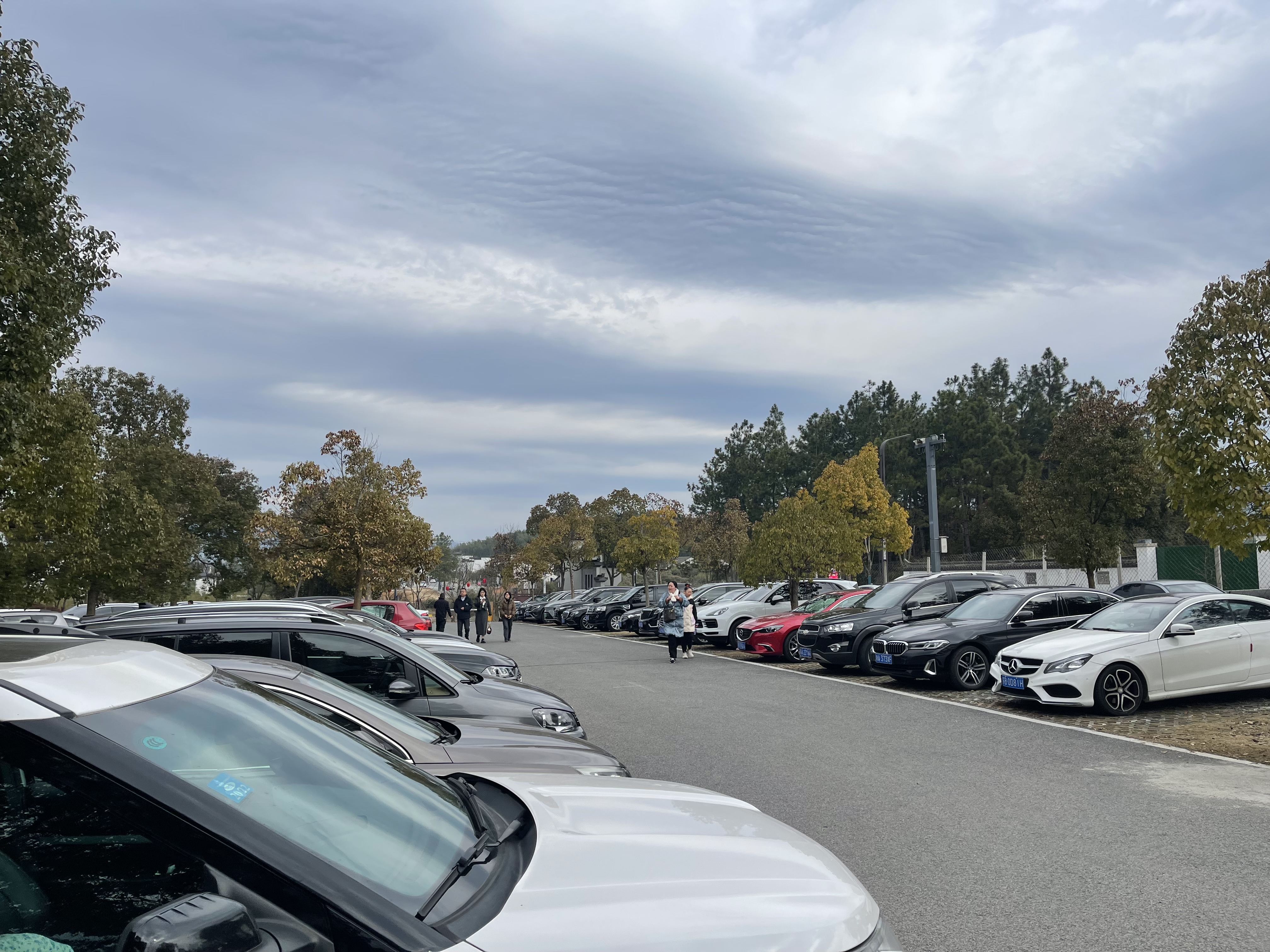 ������Ϸ���ٷ�(�й�)