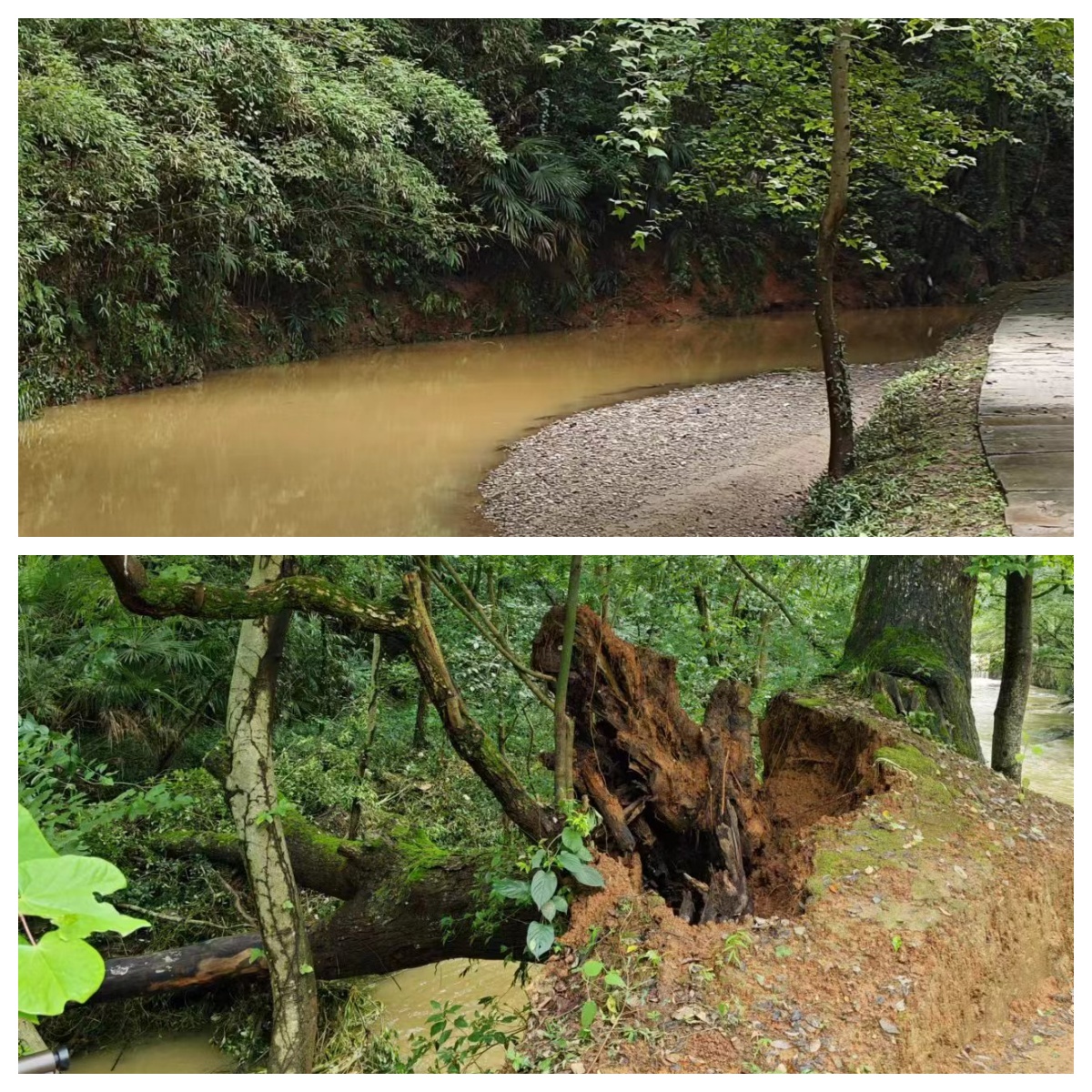 ������Ϸ���ٷ�(�й�)