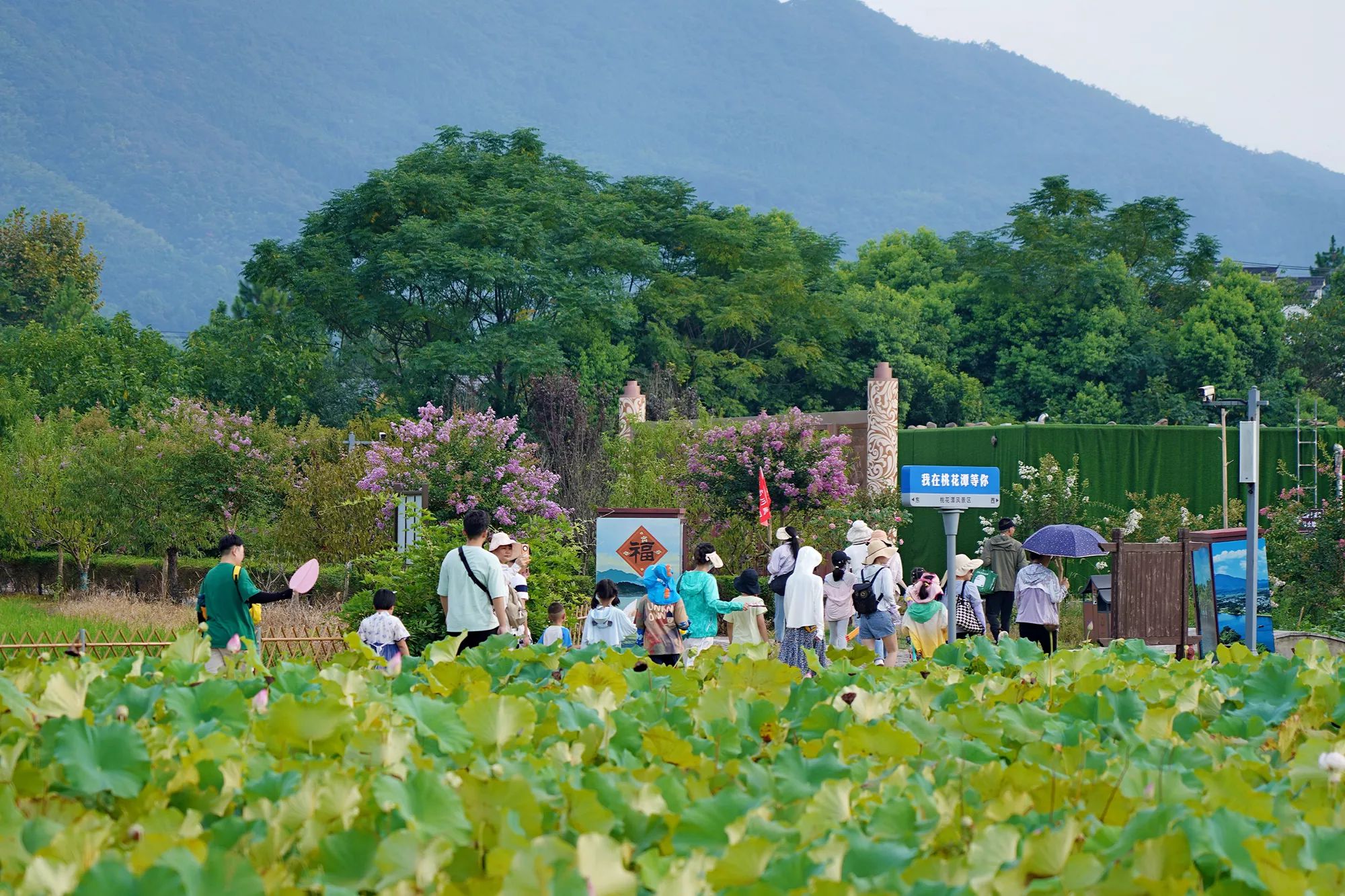 ������Ϸ���ٷ�(�й�)