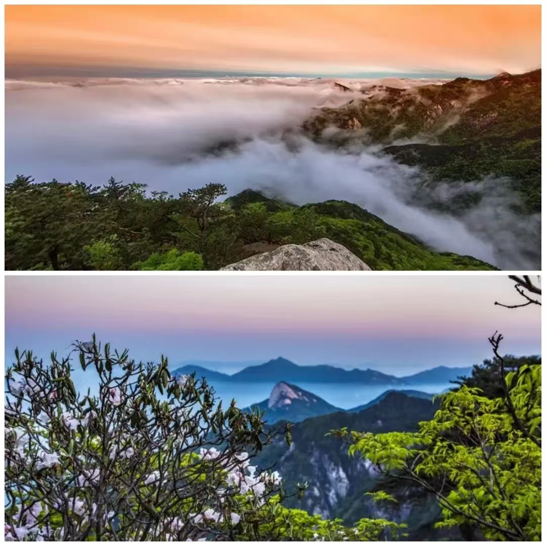 ������Ϸ���ٷ�(�й�)