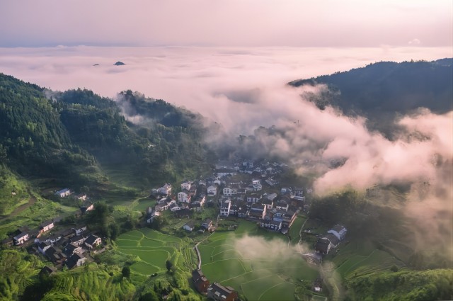 ������Ϸ���ٷ�(�й�)